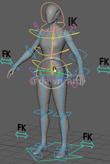 [Maya]Rigging 12 - Limbs FK